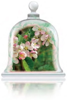 apple-blossom-fragrance