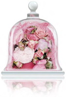 rose-garden-fragrance