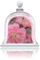 spring-blossom-fragrance